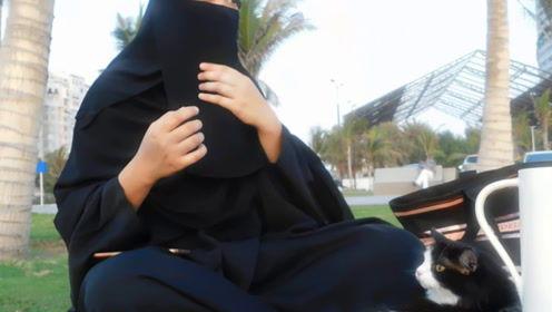 娱乐吃瓜君v什么情况