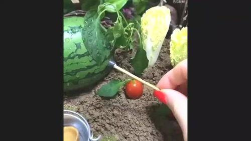 吃瓜的情景五十字,一场全民参与的狂欢盛宴