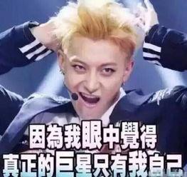 韬韬 表情包素颜